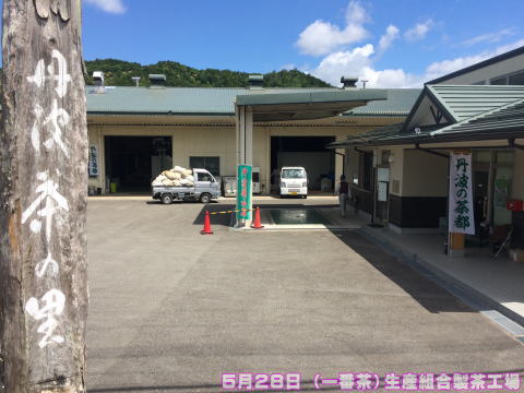 丹波ささやま茶生産組合　製茶工場