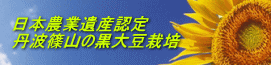 日本農業遺産認定 丹波篠山の黒大豆栽培